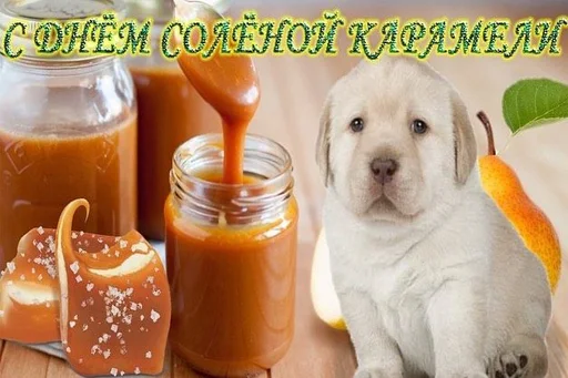 🍯 Стикер «С днём» для Telegram