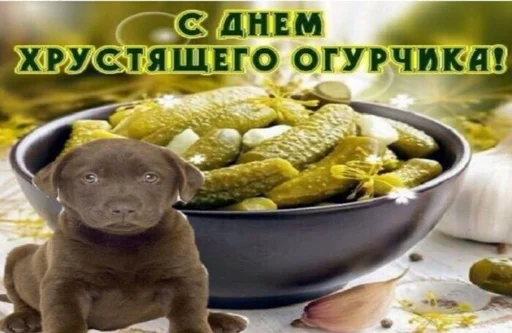 🥒 Стикер «С днём» для Telegram