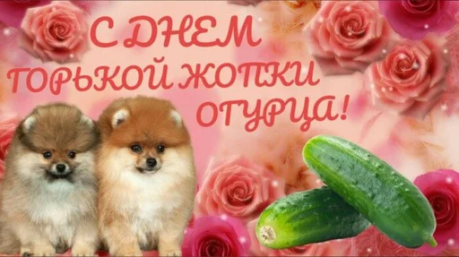 🥒 Стикер «С днём» для Telegram