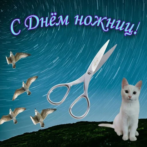 ✂️ Стикер «С днём» для Telegram
