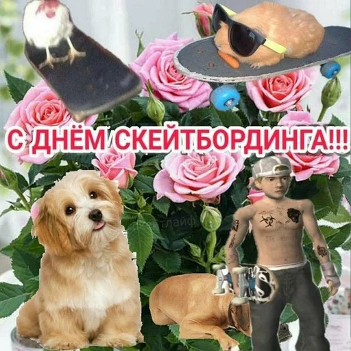 🛹 Стикер «С днём» для Telegram