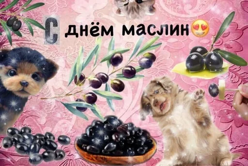 🧆 Стикер «С днём» для Telegram