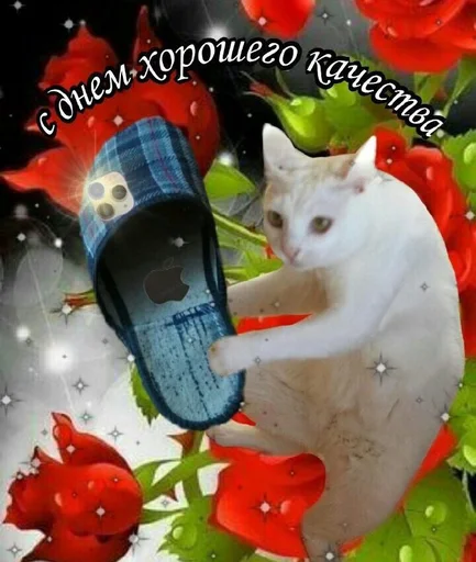 🤯 Стикер «С днём» для Telegram