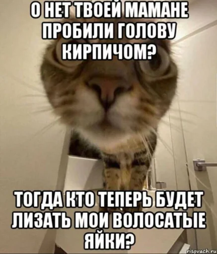 😭 Стикер «дындра» для Telegram