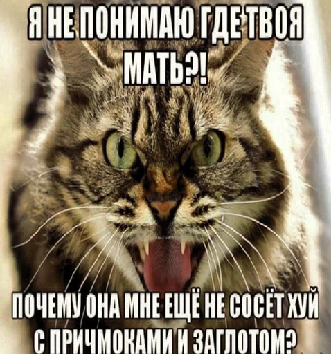 🤬 Стикер «дындра» для Telegram