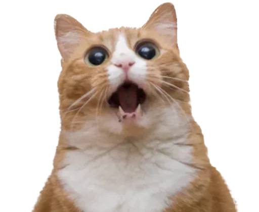 😱 Стикер «pack ?» для Telegram