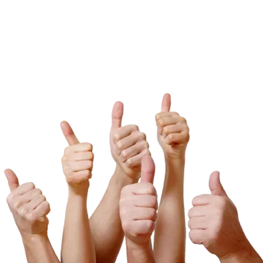 👍 Стикер «pack ?» для Telegram