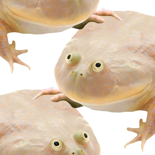 🐸 Стикер «DDDoges» для Telegram