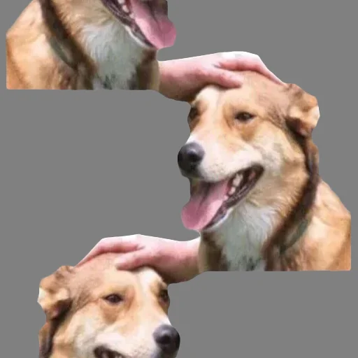 ⬜️ Стикер «DDDoges» для Telegram