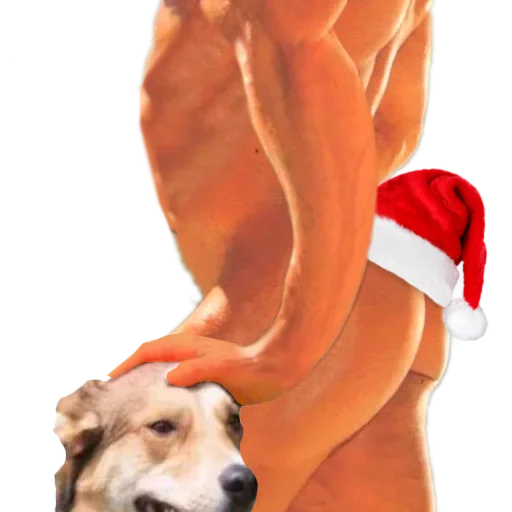 🎄 Стикер «DDDoges» для Telegram