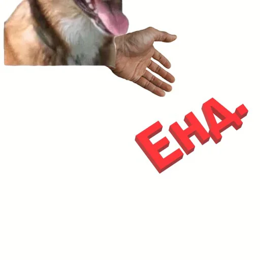 ❎ Стикер «DDDoges» для Telegram