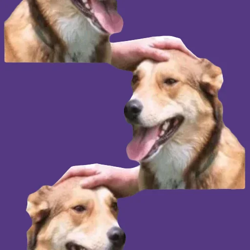 🟪 Стикер «DDDoges» для Telegram