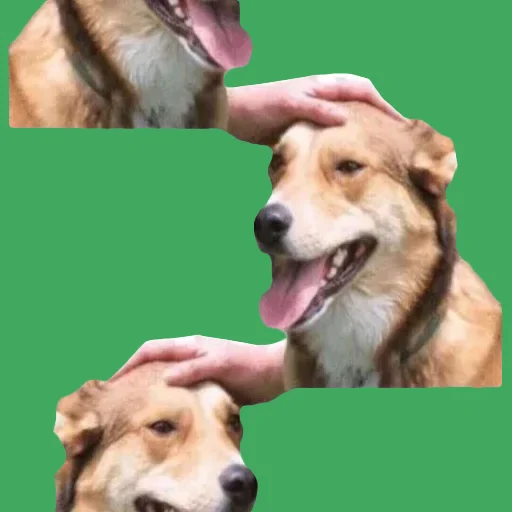 🟩 Стикер «DDDoges» для Telegram