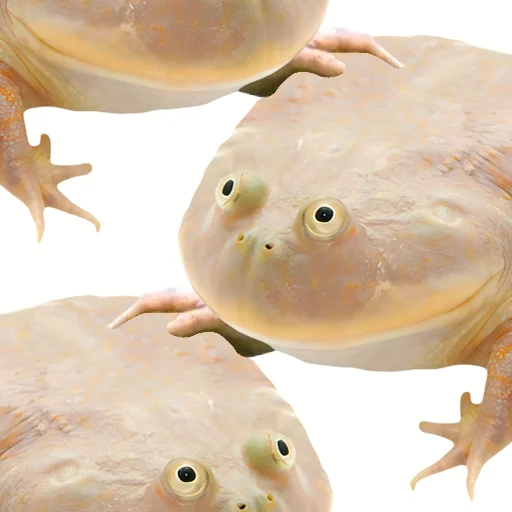 🐸 Стикер «DDDoges» для Telegram