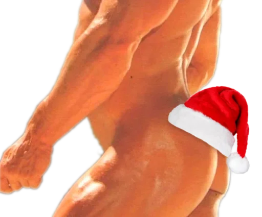 🎄 Стикер «DDDoges» для Telegram