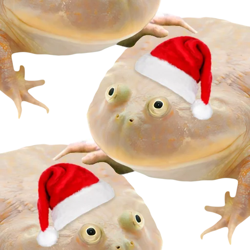 🎄 Стикер «DDDoges» для Telegram