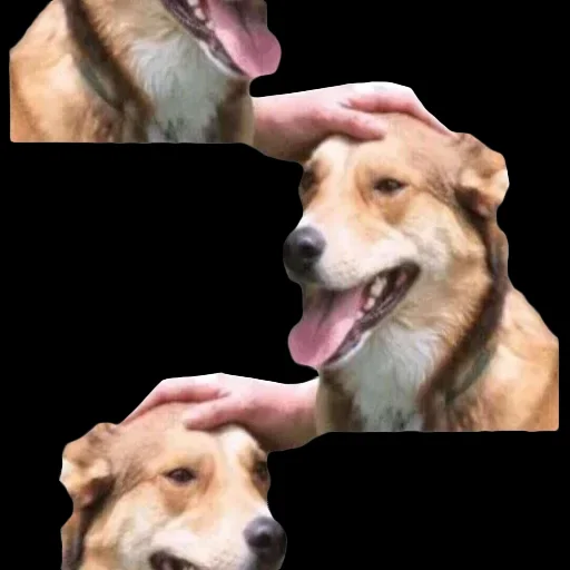 ⬛️ Стикер «DDDoges» для Telegram