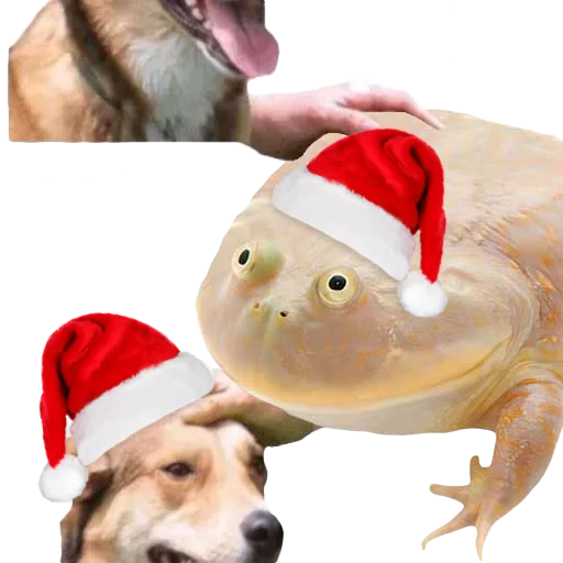 🎄 Стикер «DDDoges» для Telegram