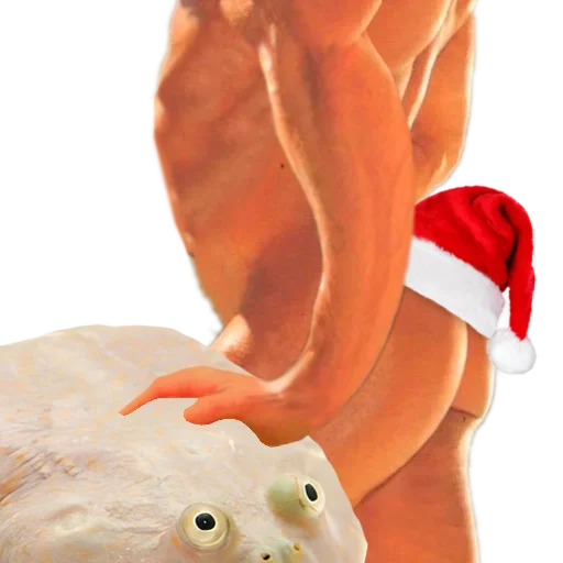 🎄 Стикер «DDDoges» для Telegram