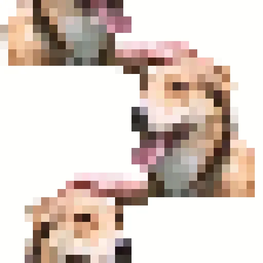 🐶 Стикер «DDDoges» для Telegram