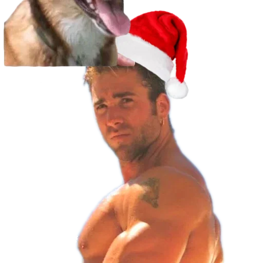 🎄 Стикер «DDDoges» для Telegram