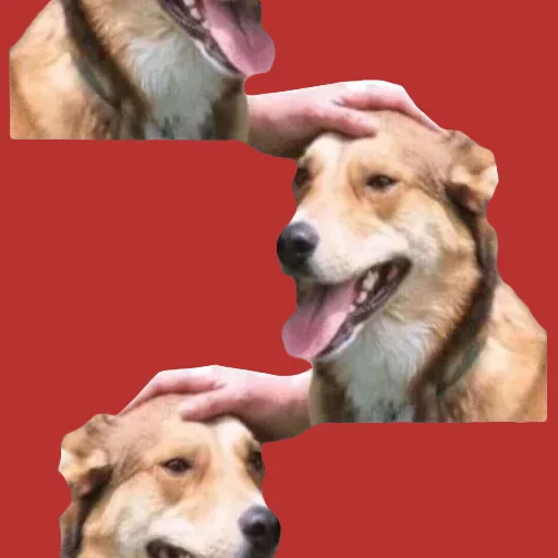 🟥 Стикер «DDDoges» для Telegram