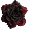 ❤️ Эмодзи «Demon core» для Telegram