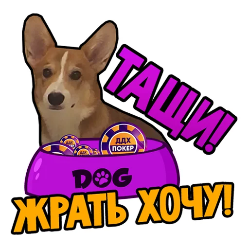 😋 Стикер «ДДХ» для Telegram