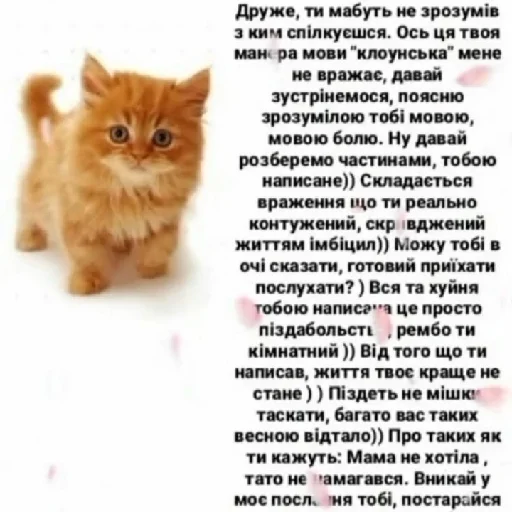 😡 Стикер «Життєво -_-» для Telegram
