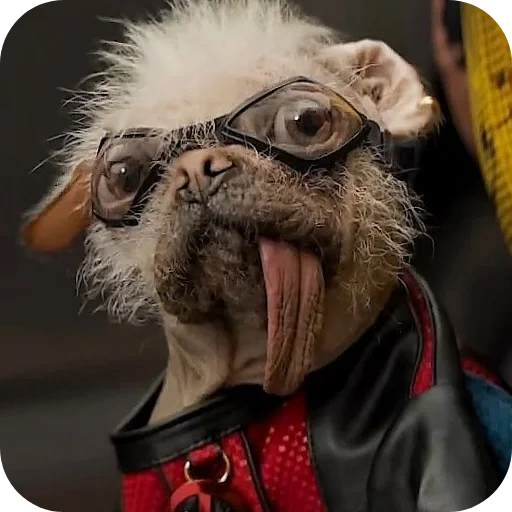 🐶 Стикер «Deadpool and Wolverine» для Telegram