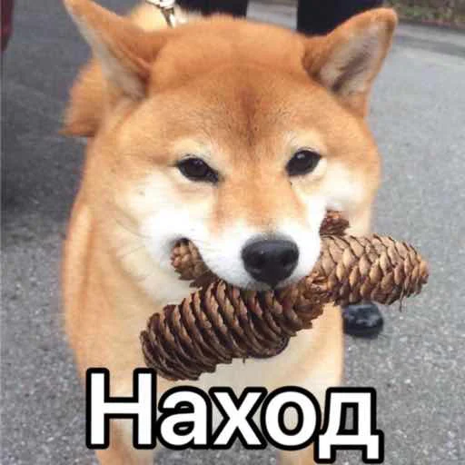 😀 Стикер «Death Row» для Telegram