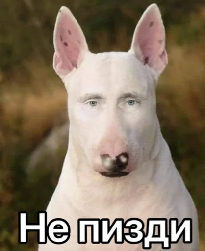 🤨 Стикер «Death Row» для Telegram