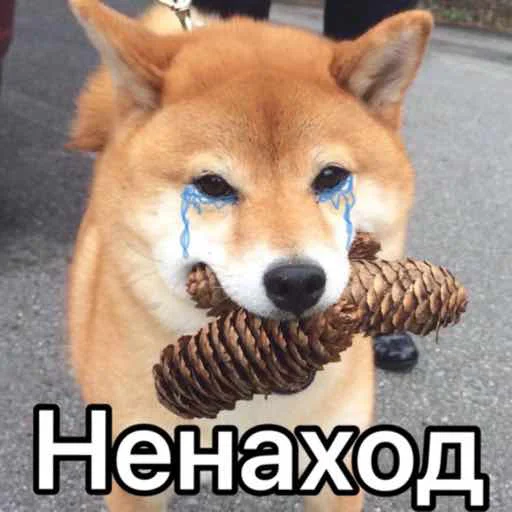😭 Стикер «Death Row» для Telegram