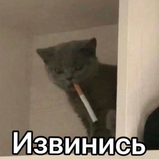 😕 Стикер «Death Row» для Telegram