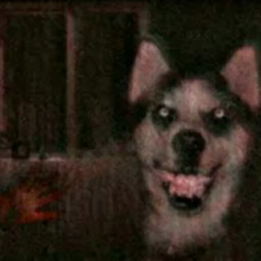 🐶 Стикер «Death File» для Telegram