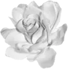 Стикер 25 ఎ Ɗᥱᥲᴛɦ ໒ 