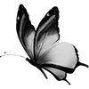 Стикер 15 ఎ Ɗᥱᥲᴛɦ ໒ 