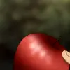 Стикер 6 Death Note