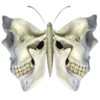 Стикер 22 death pack