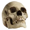 Стикер 5 death pack