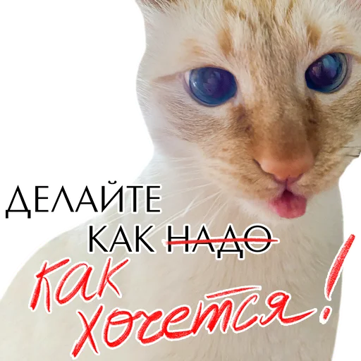 💋 Стикер «Комплименты» для Telegram