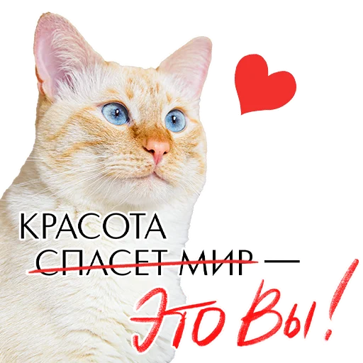 💋 Стикер «Комплименты» для Telegram