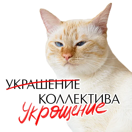 💋 Стикер «Комплименты» для Telegram
