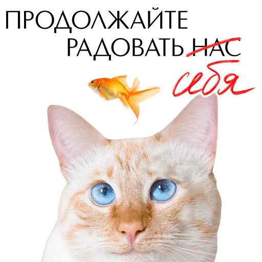 💋 Стикер «Комплименты» для Telegram