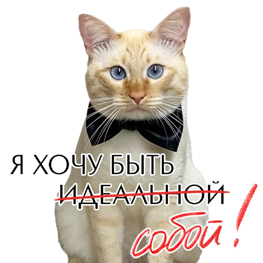 💋 Стикер «Комплименты» для Telegram