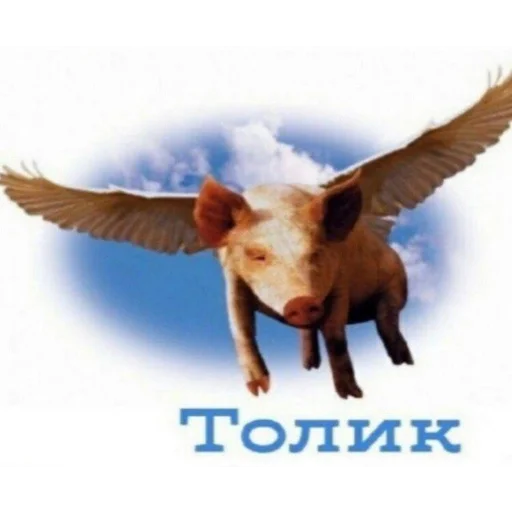 🚬 Стикер «Dead (дед) Inside» для Telegram