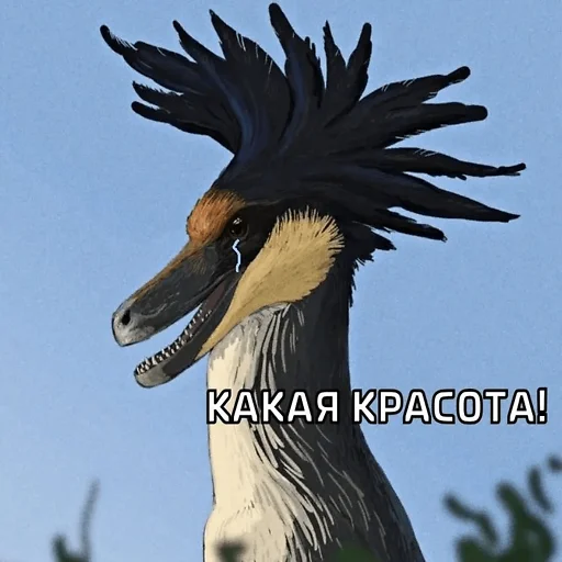 🥺 Стикер «ДЭДОВЫ НАКЛЕЙКИ» для Telegram