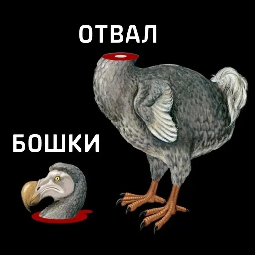 😳 Стикер «ДЭДОВЫ НАКЛЕЙКИ» для Telegram