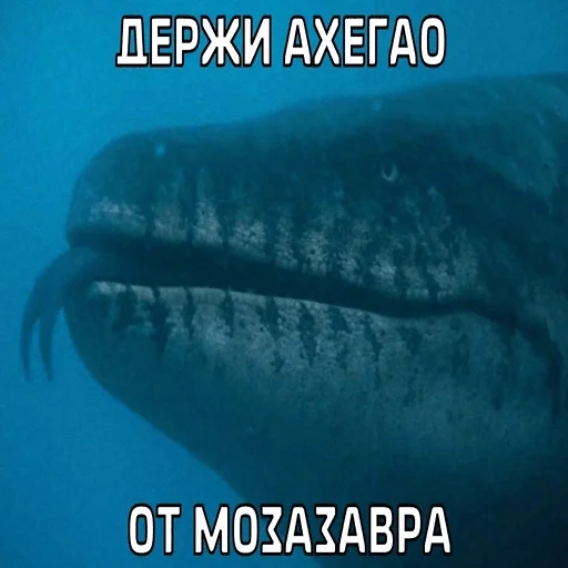 👅 Стикер «ДЭДОВЫ НАКЛЕЙКИ» для Telegram