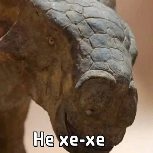 😢 Стикер «ДЭДОВЫ НАКЛЕЙКИ» для Telegram
